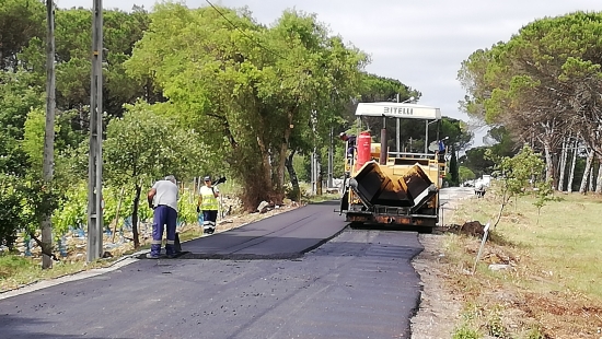 Câmara Municipal abre procedimento de 260 mil euros